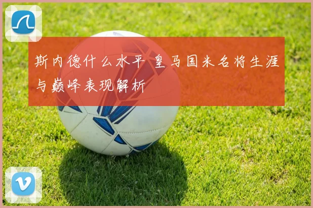 斯内德什么水平 皇马国米名将生涯与巅峰表现解析