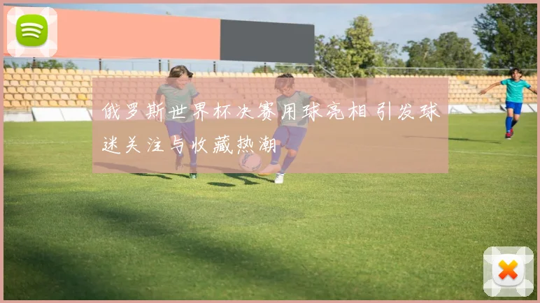 俄罗斯世界杯决赛用球亮相 引发球迷关注与收藏热潮