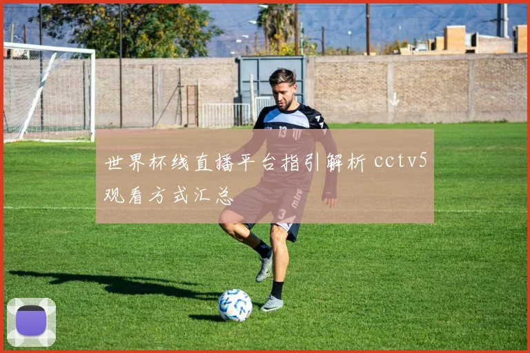世界杯线直播平台指引解析 cctv5观看方式汇总