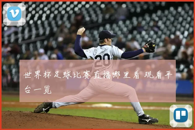 世界杯足球比赛直播哪里看 观看平台一览